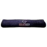 Sauna Blanket Insert